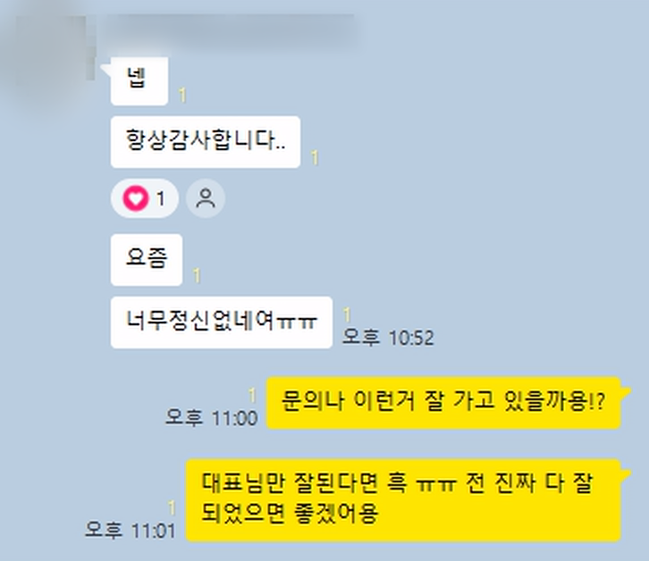 광고주가 보낸 카카오톡 메시지 캡처